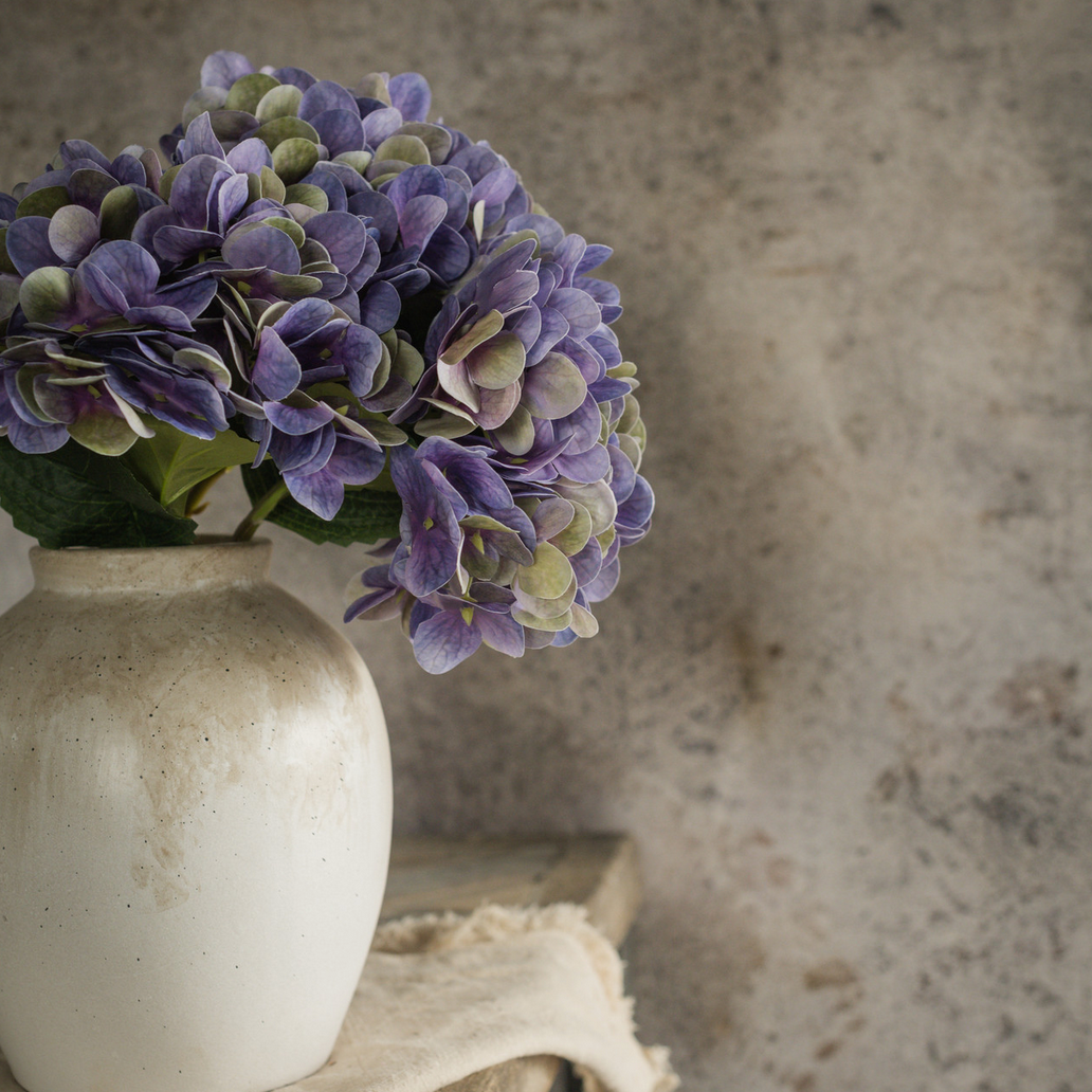 Violet Haze Hydrangea Stem