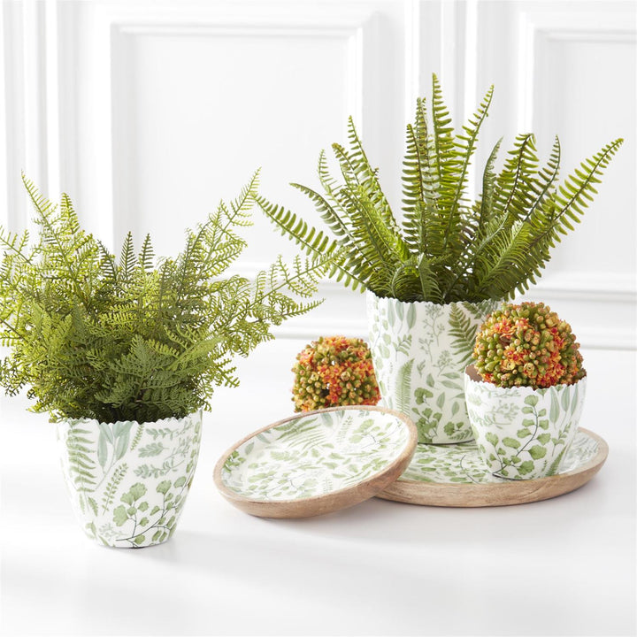 Set/3 Orange Succulent Kalanchoe Balls