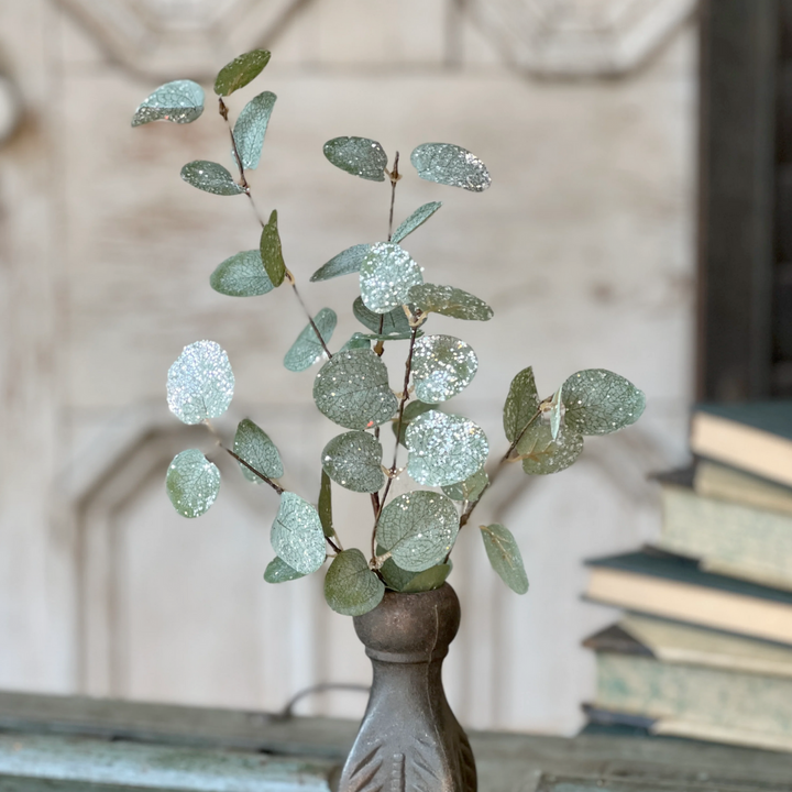 Set/5 Crisp Air Frosted Eucalyptus Picks