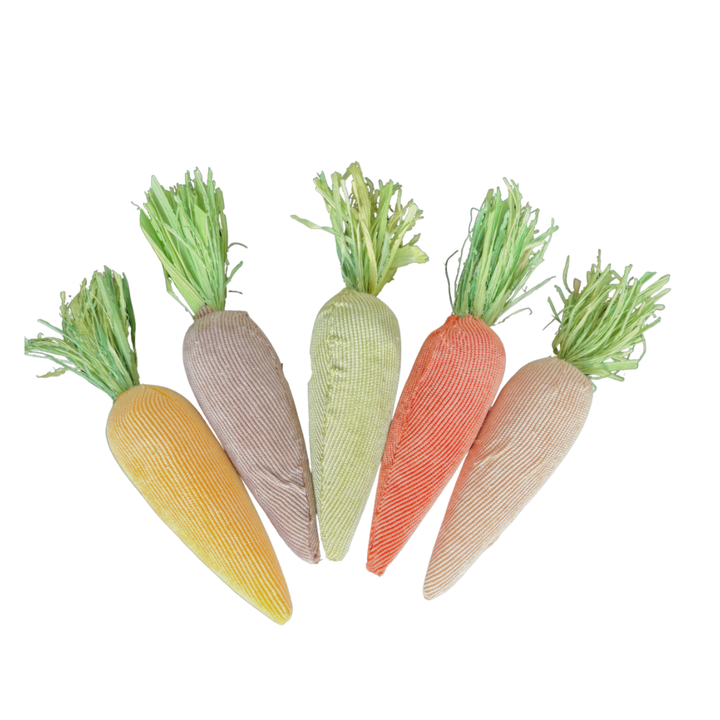 Set of five colorful carrot-shaped spring decor on a white background