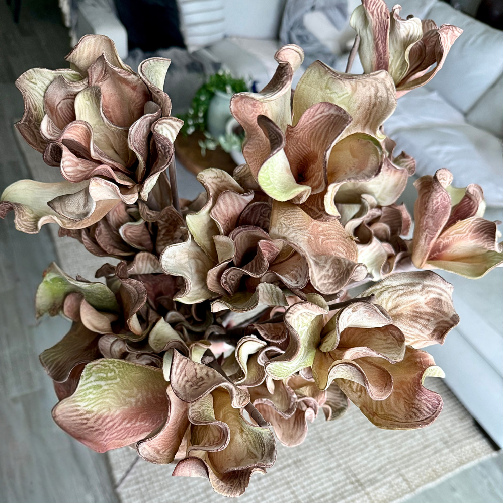 Close-up of a bouquet with wavy, layered petals in soft colors.