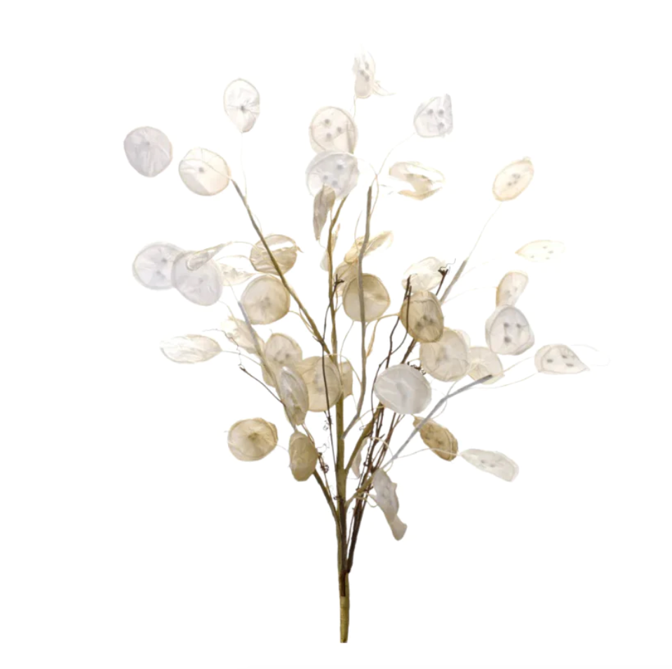 Set/3 Silver Dollar Stems