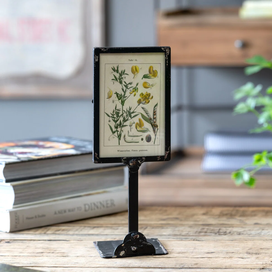 A small black metal tabletop frame holding a vintage botanical print with yellow flowers and green stems, displayed on a wooden surface with books and a plant in a softly blurred room background.