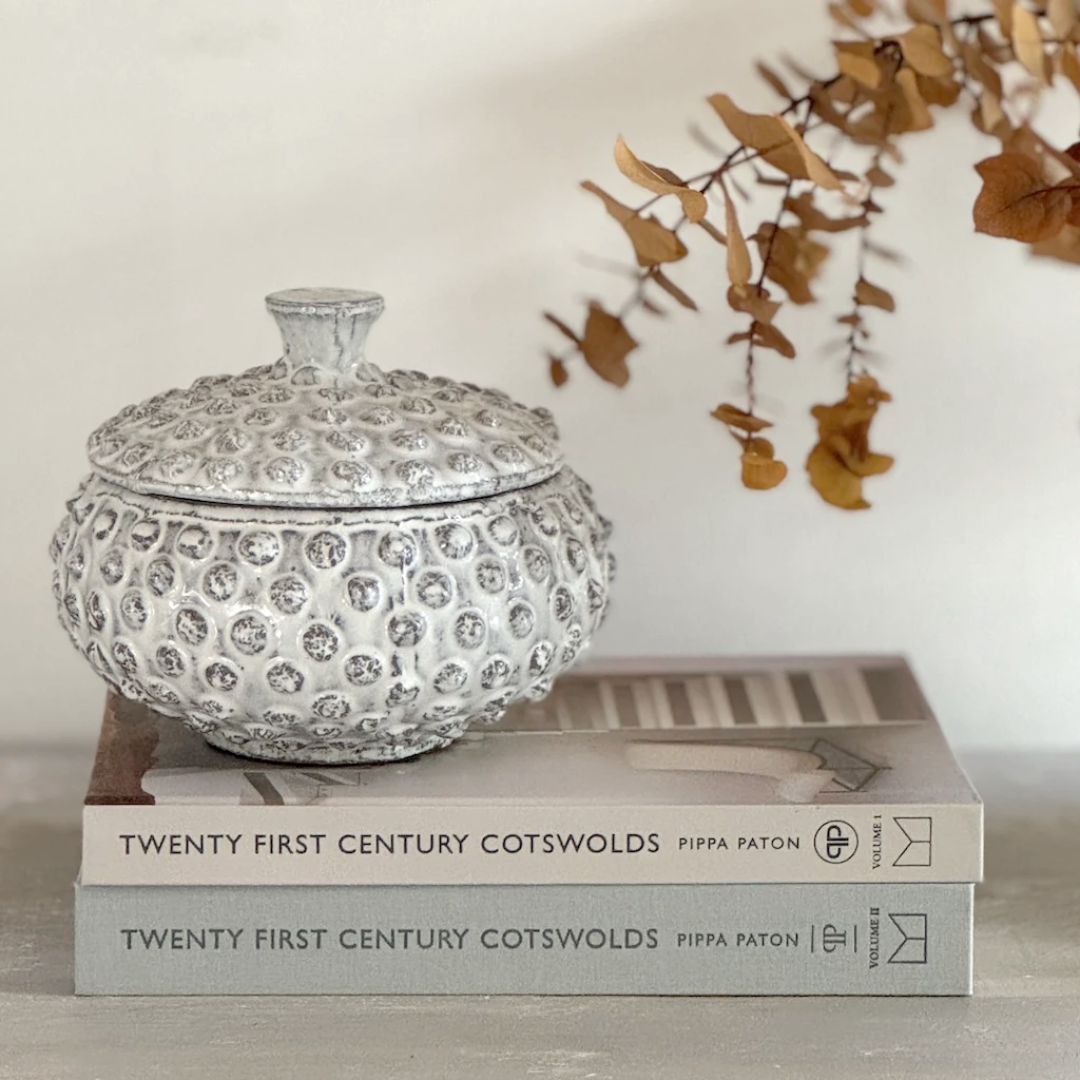Decorative white knobby pot on top of books with a neutral background