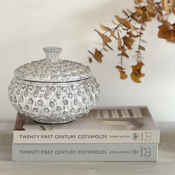 Decorative white knobby pot on top of books with a neutral background