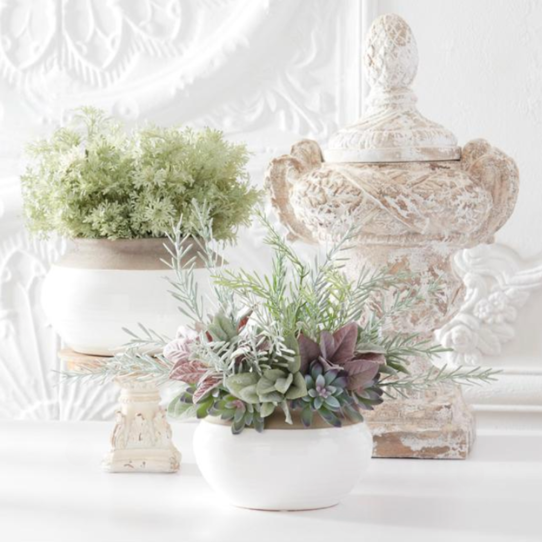 Decorative succulent arrangement with plants and a large ornate container on a white background