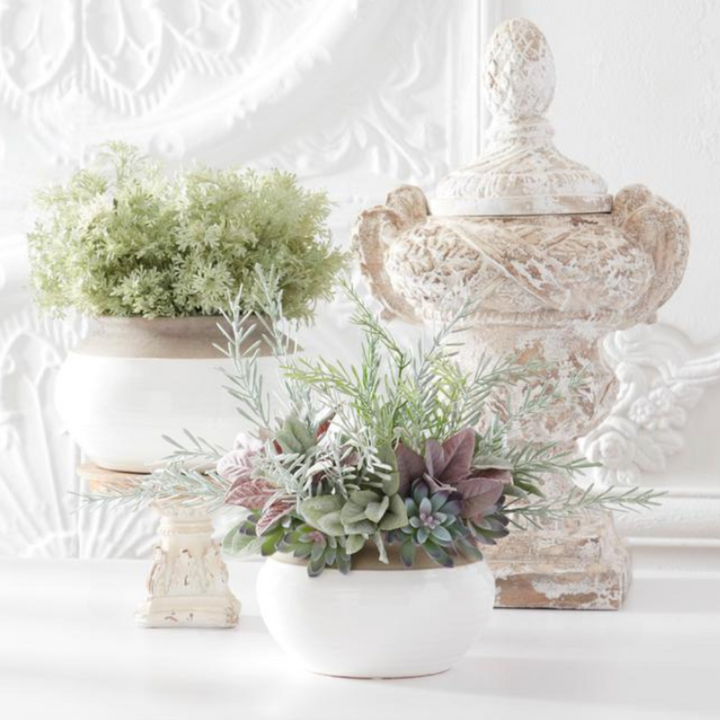 Decorative succulent arrangement with plants and a large ornate container on a white background