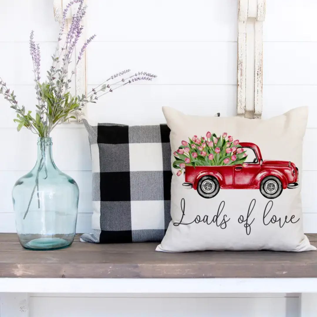 Set/2 “Loads of Love” Pillow Covers