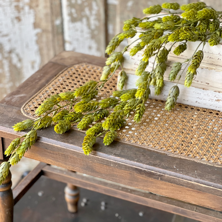Hops Draping Greens
