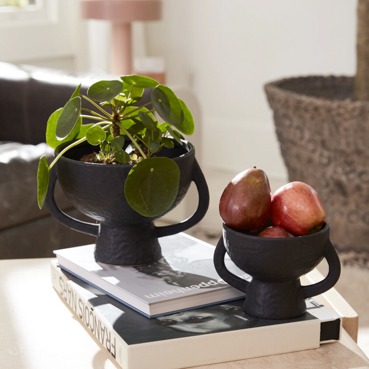 Black Footed Compote