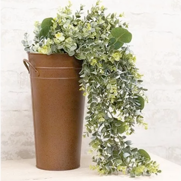 Draping Eucalyptus Vine