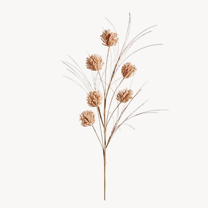 Set/4 Dried Pom Pom Sprays