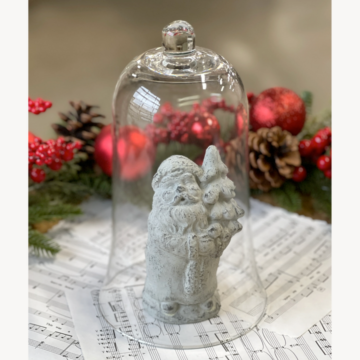 Parson's Glass Cloche