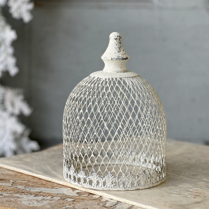 Decorative white mesh cloche on a wooden surface 