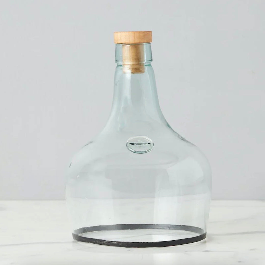 A clear glass cloche with a black rim and a wood cork lid, standing upright on a flat surface.
