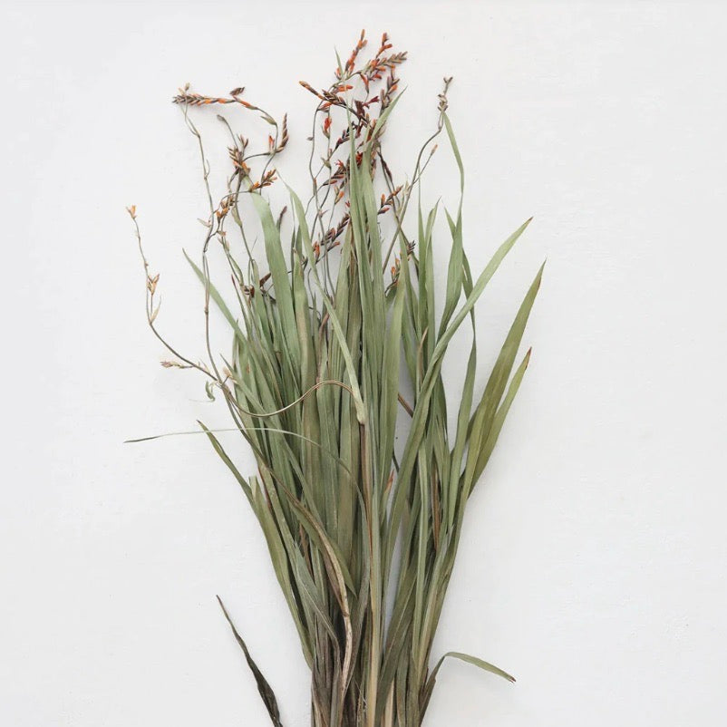 A bundle of dried green Renanthera orchid grass with orange buds, intended for decorative purposes in a vase.