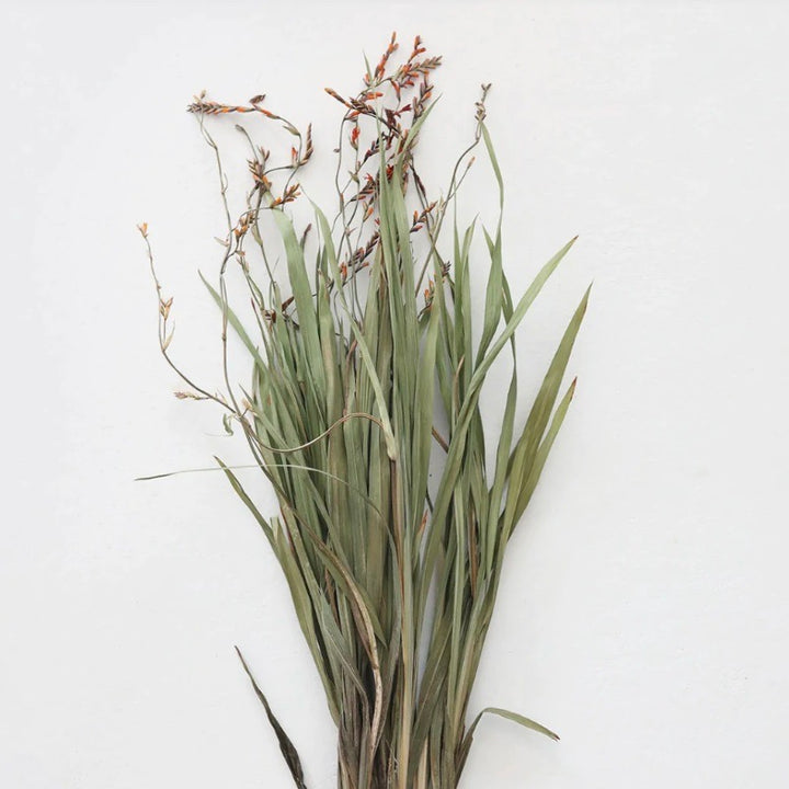 A bundle of dried green Renanthera orchid grass with orange buds, intended for decorative purposes in a vase.