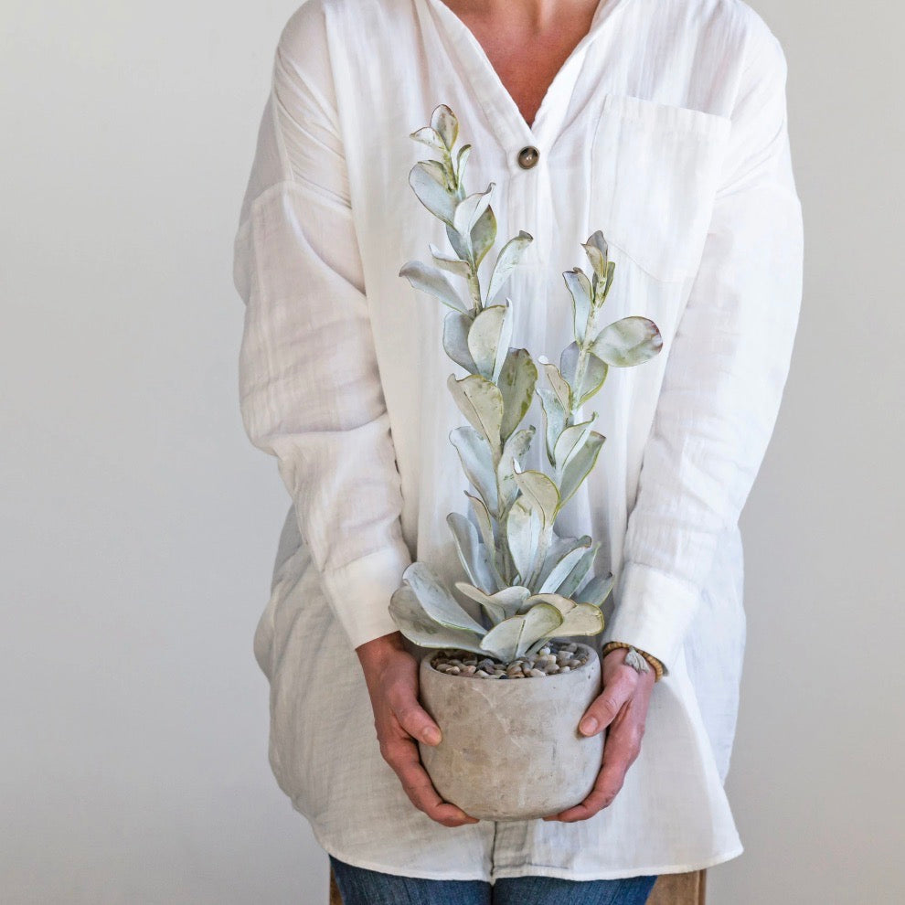 A person holding a faux succulent plant in a sleek gray cement pot.