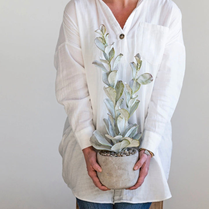 A person holding a faux succulent plant in a sleek gray cement pot.