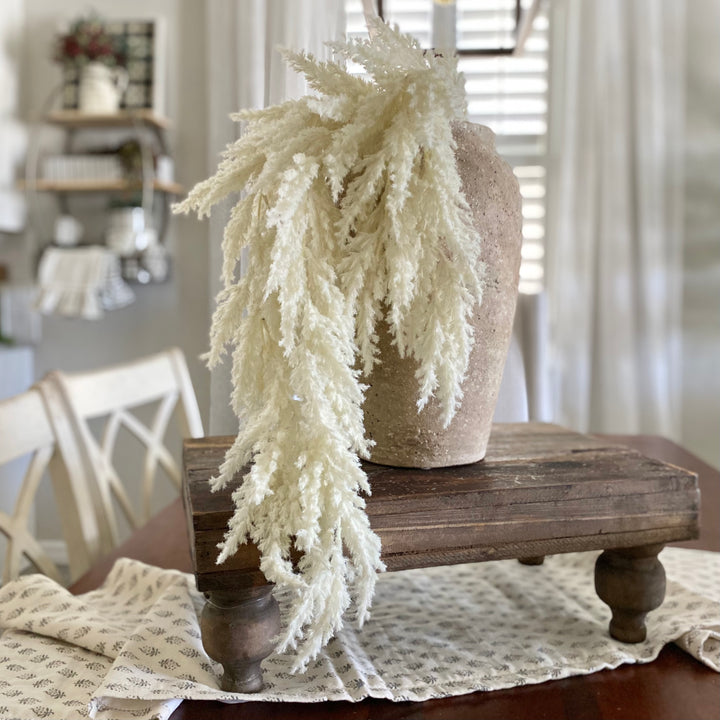 Set/2 Flocked Hanging Pampas Stems