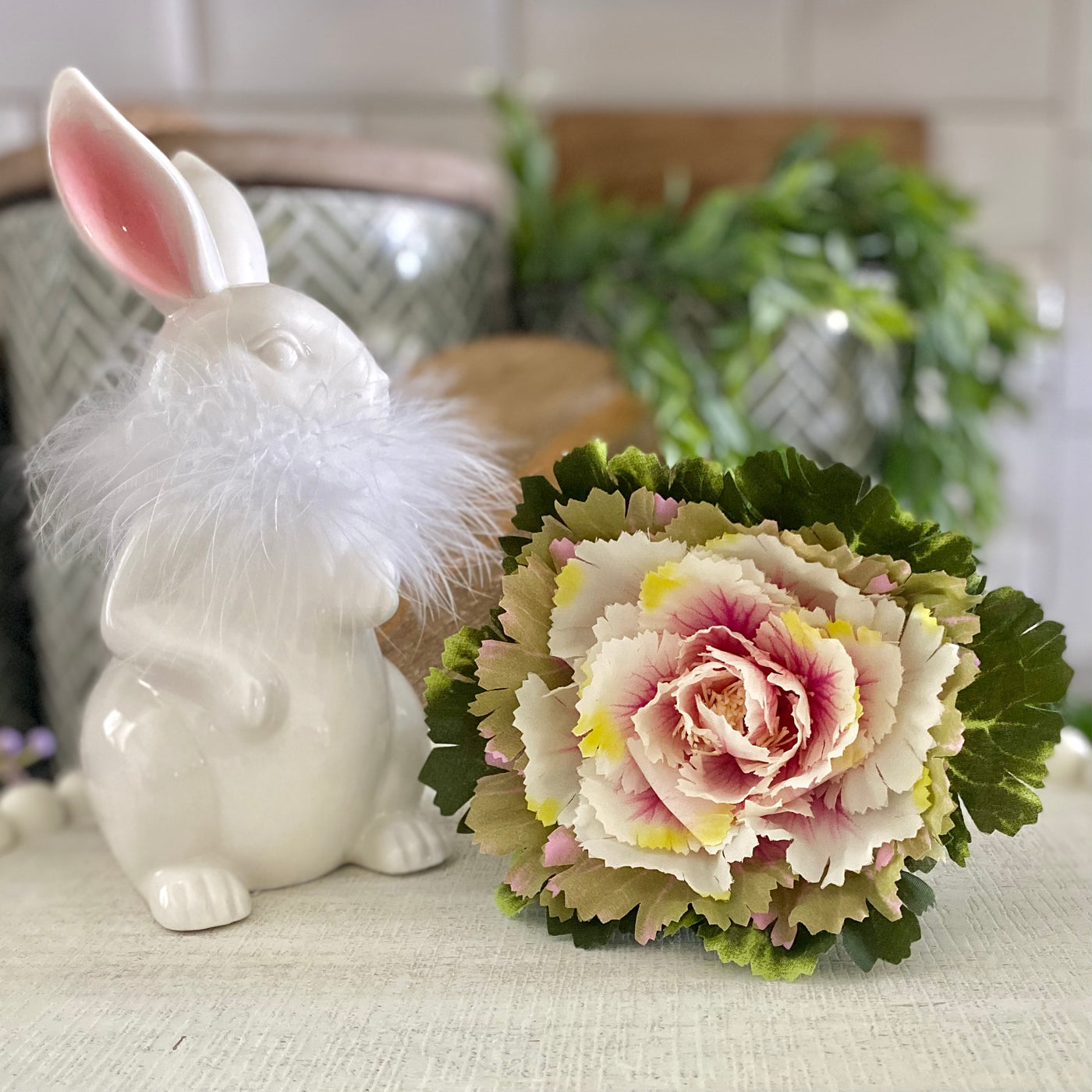 Pink Potted Cabbage