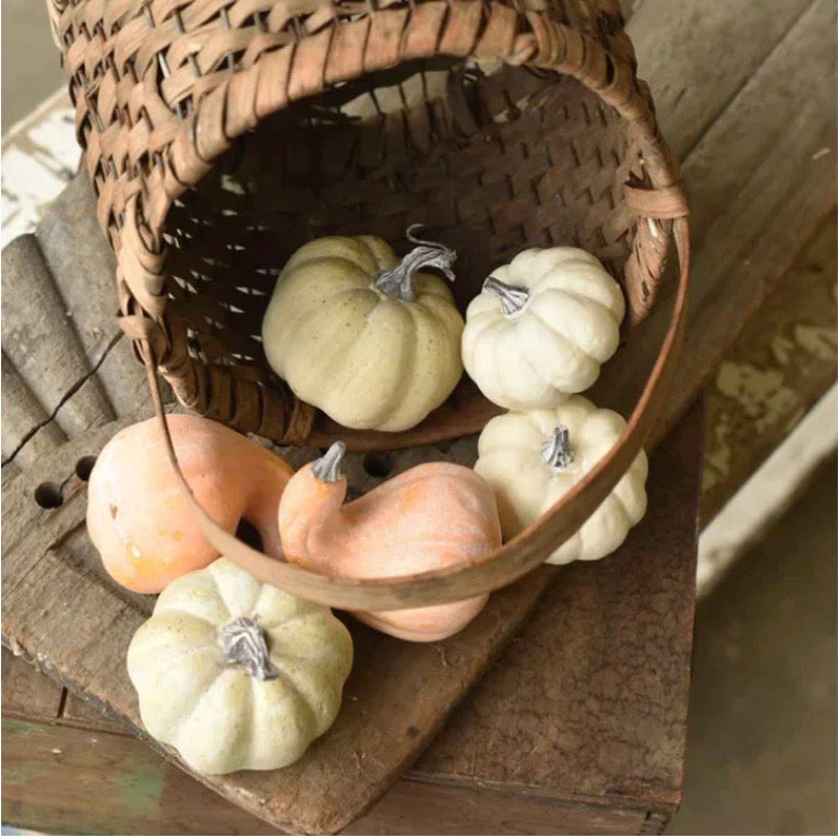 A set of six mini pumpkins and gourds in a basket, featuring assorted sizes and colors of orange, cream, and green.