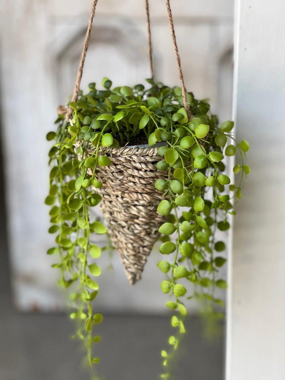 Charming Hanging Basket