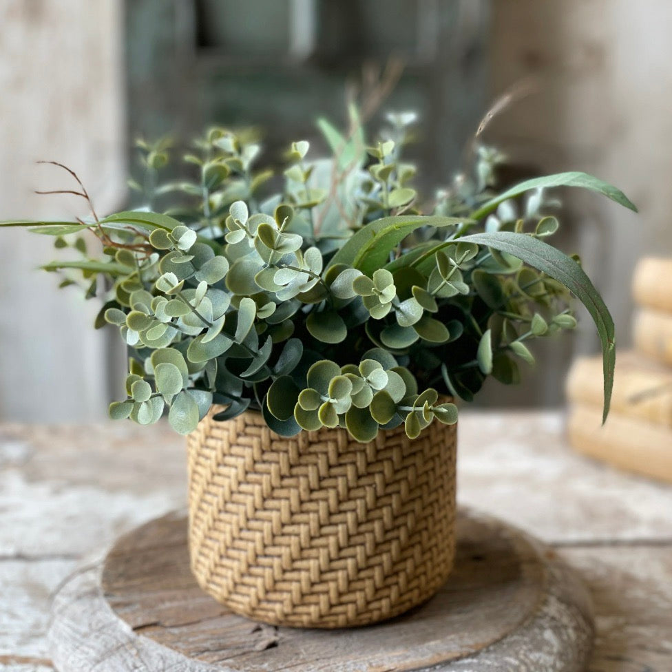 Basketweave Eucalyptus Pot