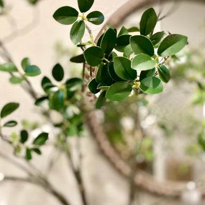 Grove Mini Leaf Branch