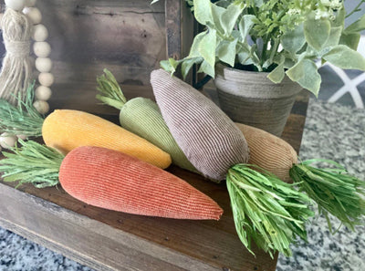 Plush Fabric Carrot Set