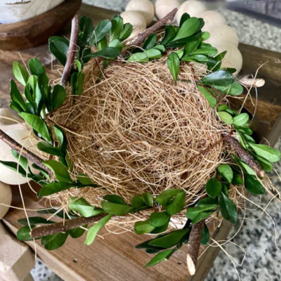 Boxwood & Grass Bird Nest