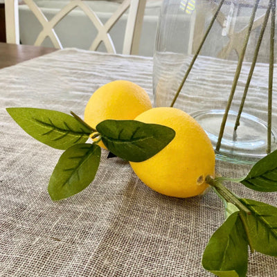 Set/5 Lemons With Dark Green Foliage