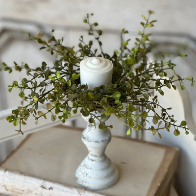 Baby's Grass Candle Ring