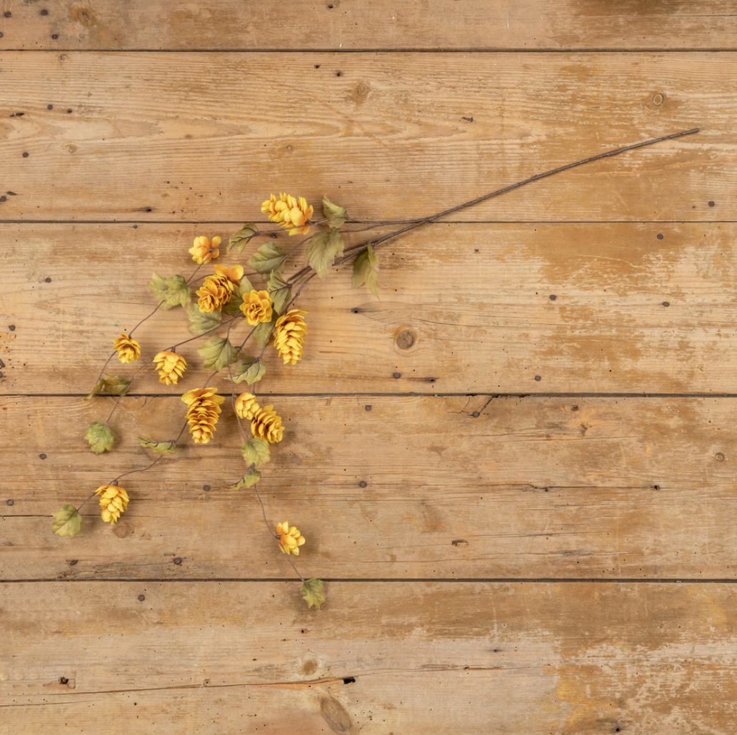 S/3 Yellow Hops Stems