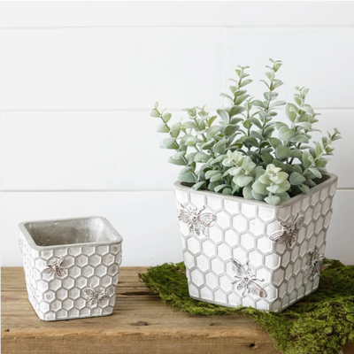 Cement Hive & Bee Planters